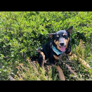 Meet your Posher, Colleen